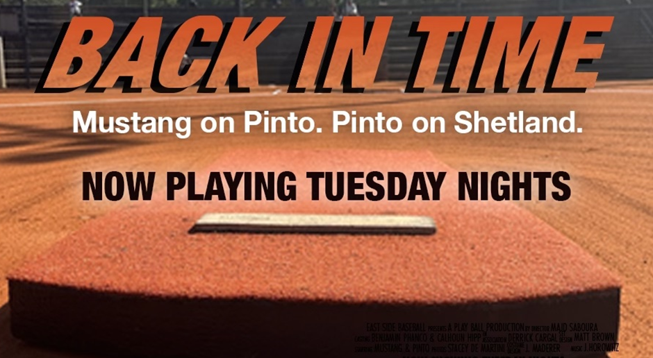 Mustang on Pinto. Pinto on Shetland.